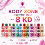 12 pcs bodyzone 250 ml